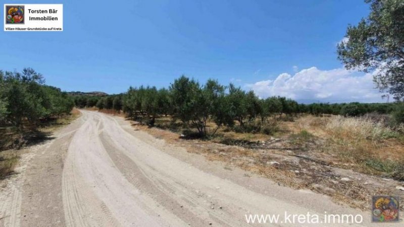 Kamilari Kreta Kamilari, Baugrundstück 2.000m² mit 2 Baugenehmigungen ! zu verkaufen Grundstück kaufen